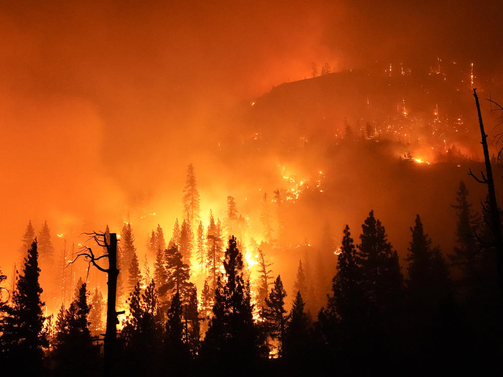 The Creek Fire burns in the Sierra National Forest on Sunday.