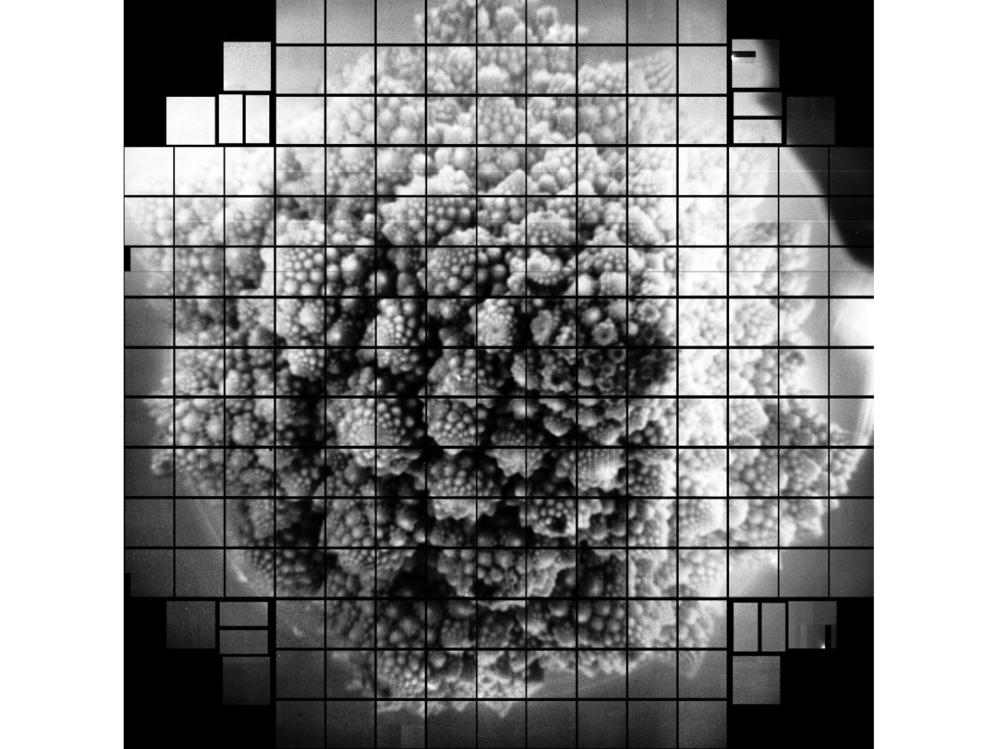 Romanesco broccoli, as seen by a 3.2 billion pixel camera. Scientists chose to take a picture of the broccoli because of its fractal shape.