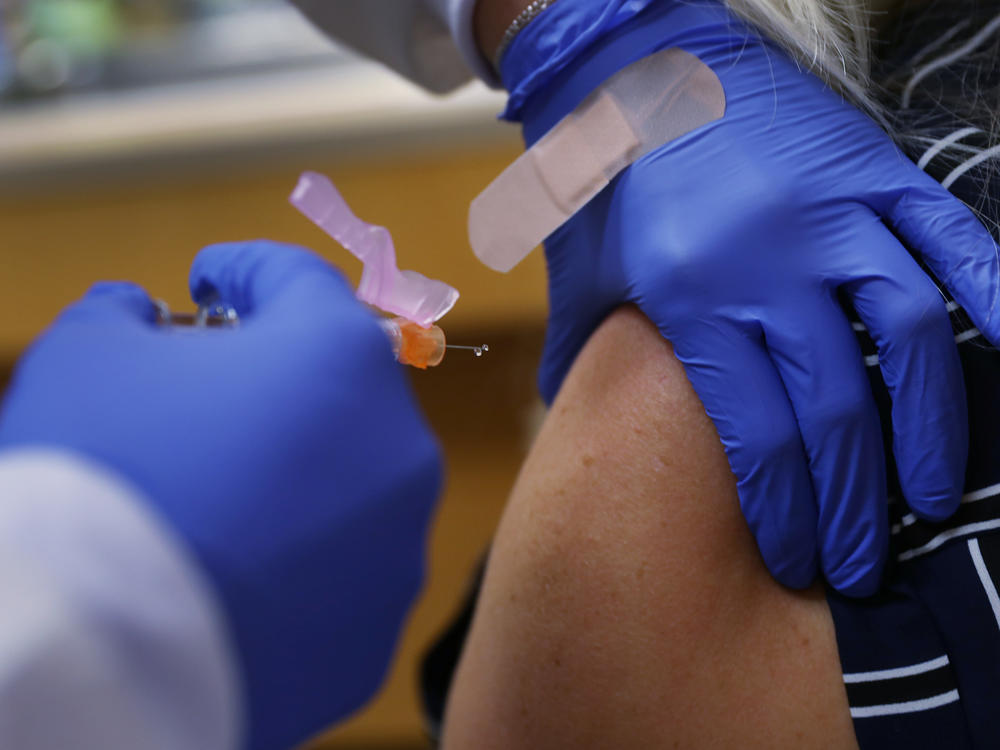 Some of the world's largest vaccine-makers hope to bolster public confidence in a yet-to-arrive COVID-19 vaccine, pledging to follow strict safety protocols in the rush to respond to the pandemic. Here, a nurse practitioner administers a dose of flu vaccine in Key Biscayne, Fla.