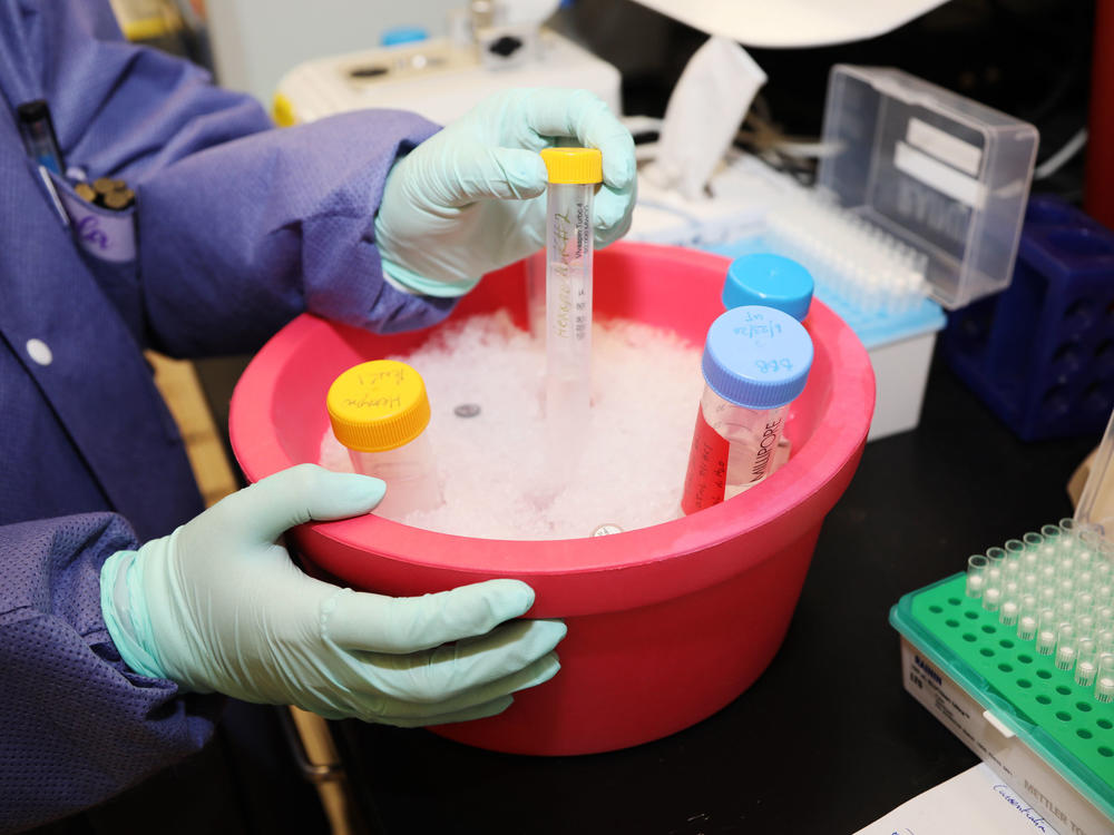 A research assistant with the Emerging Infectious Disease Branch (EIDB), at the Walter Reed Army Institute of Research (WRAIR), studies coronavirus protein samples, June 1, 2020. The EIDB is part of WRAIR's effort to produce a COVID-19 vaccine candidate.