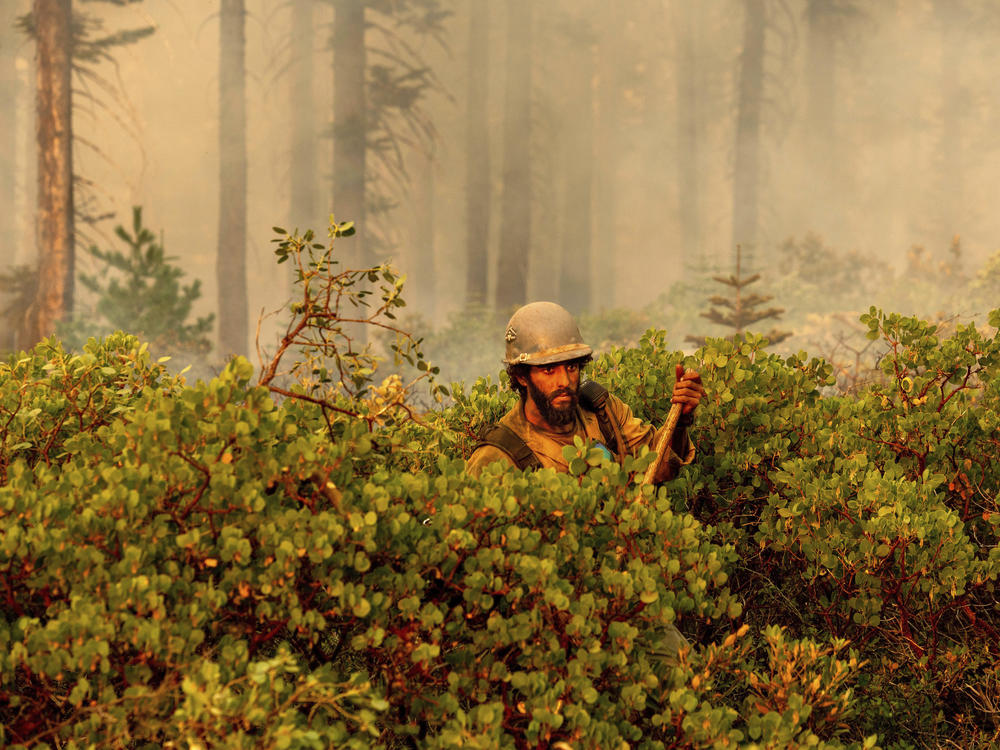 Firefighter Cody Carter battles the North Complex Fire on Monday in Plumas National Forest in California.
