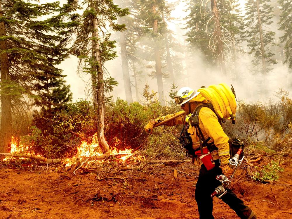 Cal Fire Battalion Chief Craig Newell carries hose while battling the North Complex Fire in Plumas National Forest, Calif., on Monday.