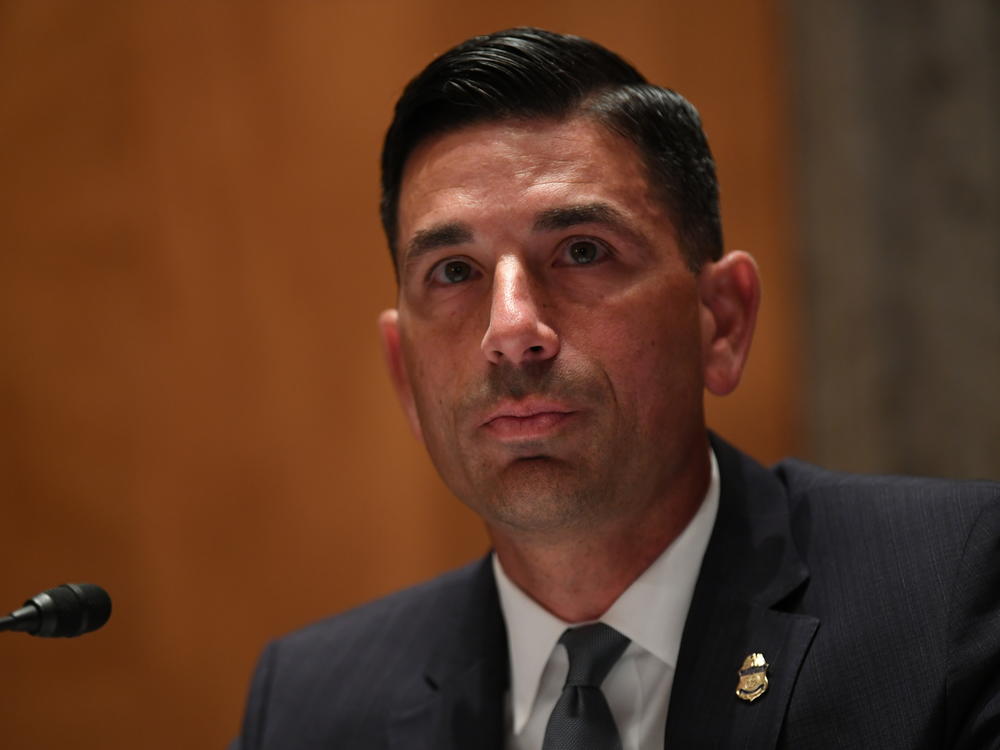 Without DHS Witnesses In Hearing, Whistleblower Claims ...