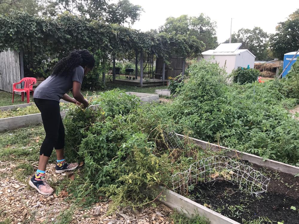 Pleasure works in her garden, located in a community park near her home.