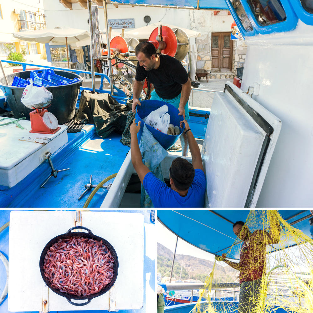 Top: Fisherman Dimitris Achladiotis and his son work on their boat after docking at the port of Kastellorizo. Left: Shrimp caught in the sea between Kastellorizo and Turkey. Right: Sayid Emasha, an Egyptian fisherman who has worked with Achladiotis for six years.