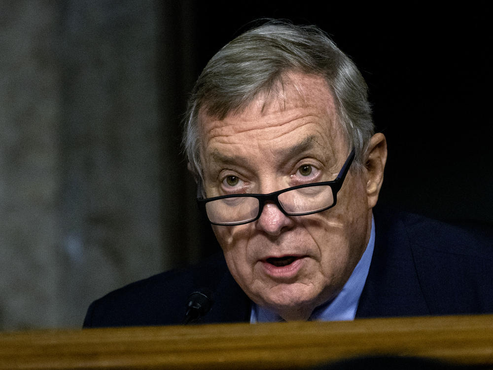 Sen. Richard Durbin, D-Ill., speaks during a Senate Judiciary Committee oversight hearing in August.