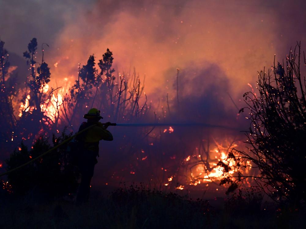 A firefighter works to put out flames of the Bobcat Fire in Juniper Hills, Calif. As of Sunday, the wildfire has grown to more than 99,000 acres and is 15% contained.