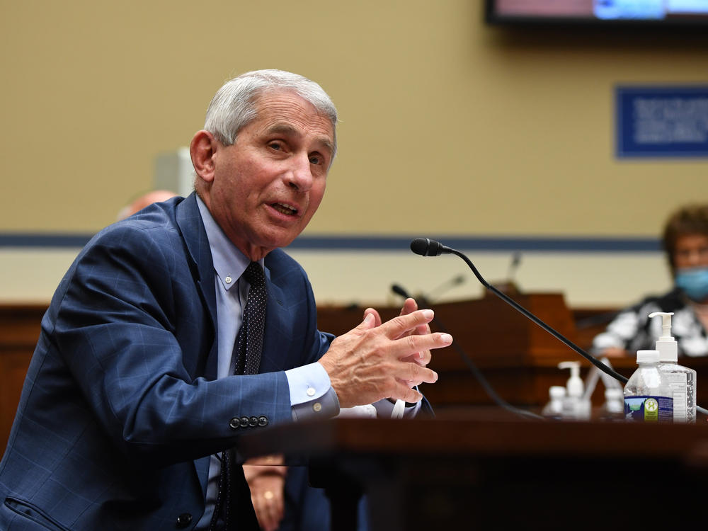 Dr. Anthony Fauci, director of the National Institute for Allergy and Infectious Diseases, is pictured in a hearing on July 31. He is testifying on Wednesday alongside other top health officials in a Senate panel hearing.