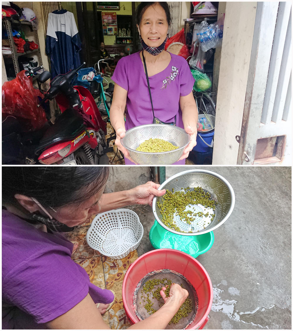 Ms. Hồi, a club member, learned how to grow bean sprouts in a bucket from the Intergenerational Self Help Club. Now she sells it to the local community to make a little extra income.