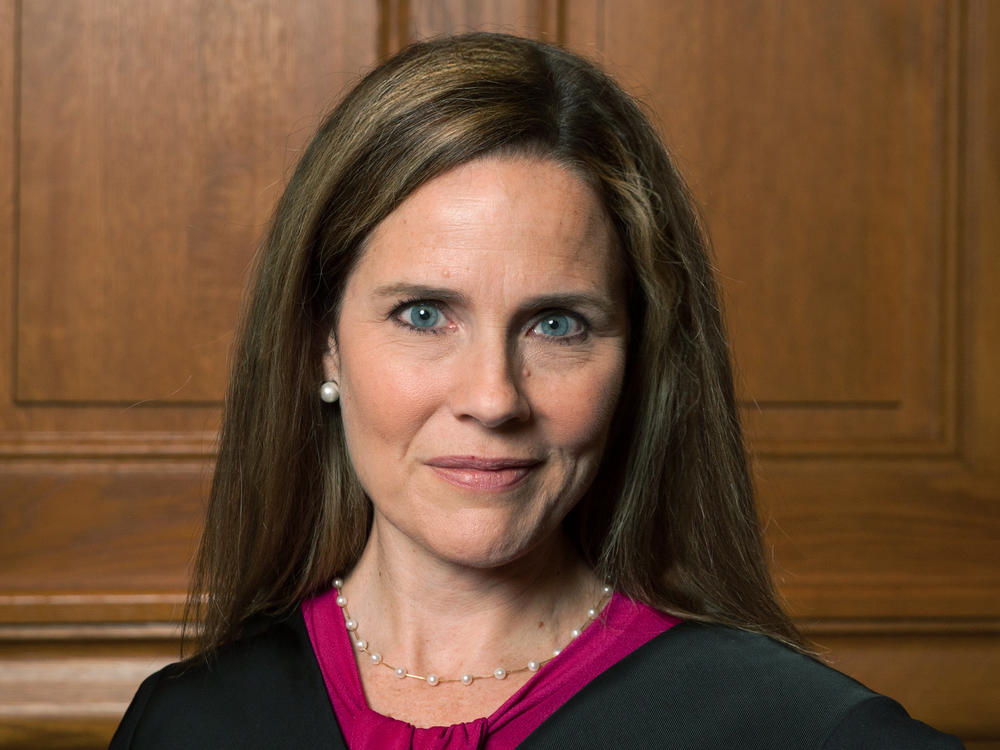 Judge Amy Coney Barrett, pictured in 2018, of the 7th U.S. Circuit Court of Appeals is a favorite among social conservatives.