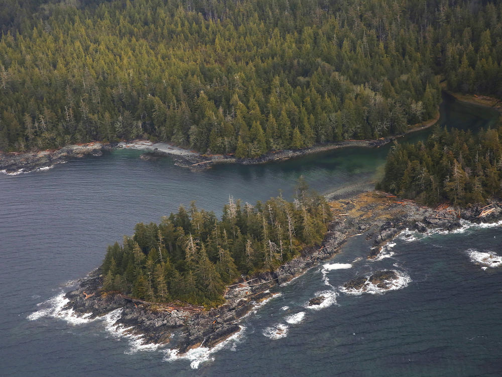 The Tongass National Forest, near Ketchikan, Alaska. The Trump Administration is set to remove long-standing protections against logging and development in the forest.