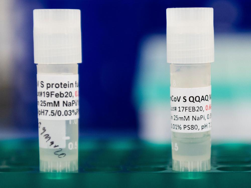 Novavax Researcher Says No Chance Of A 'Shortcut' In Vaccine Safety | Georgia Public Broadcasting