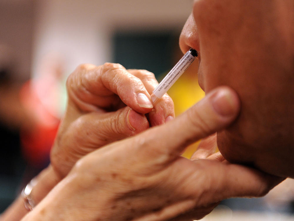 The nasal spray version of the flu vaccine contains live but weakened form of the virus. Researchers think there's a good chance this could help boost the body's immunity and improve its ability to fight off pathogens such as the coronavirus.
