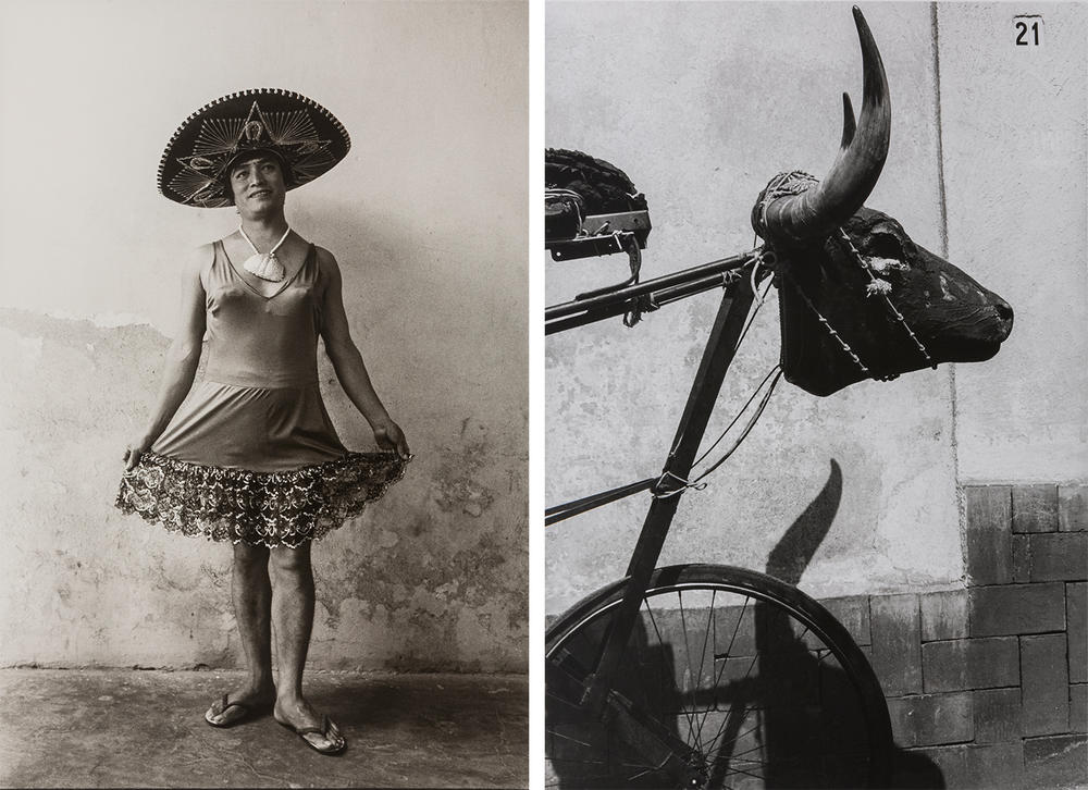 Left: <em>Magnolia with Sombrero</em>. Right: <em>Little Bull</em>.