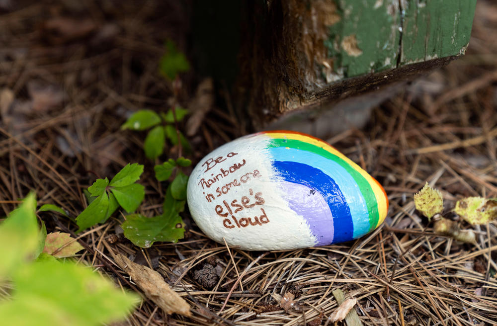 Barrera and her son, Niko, place rocks painted with hopeful messages at his school and other places in their community. They hope the rocks will brighten someone's day.