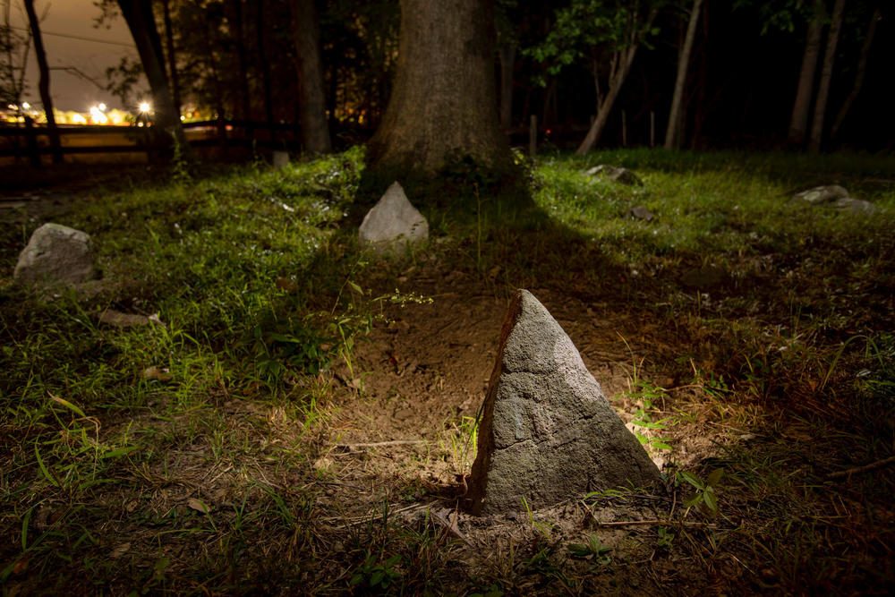 Rough, unmarked stones mark graves at the African American Burial Ground for the Enslaved at Belmont. Enslaved people once made up more than a quarter of the county's population, but their graves, like these, were often neglected.