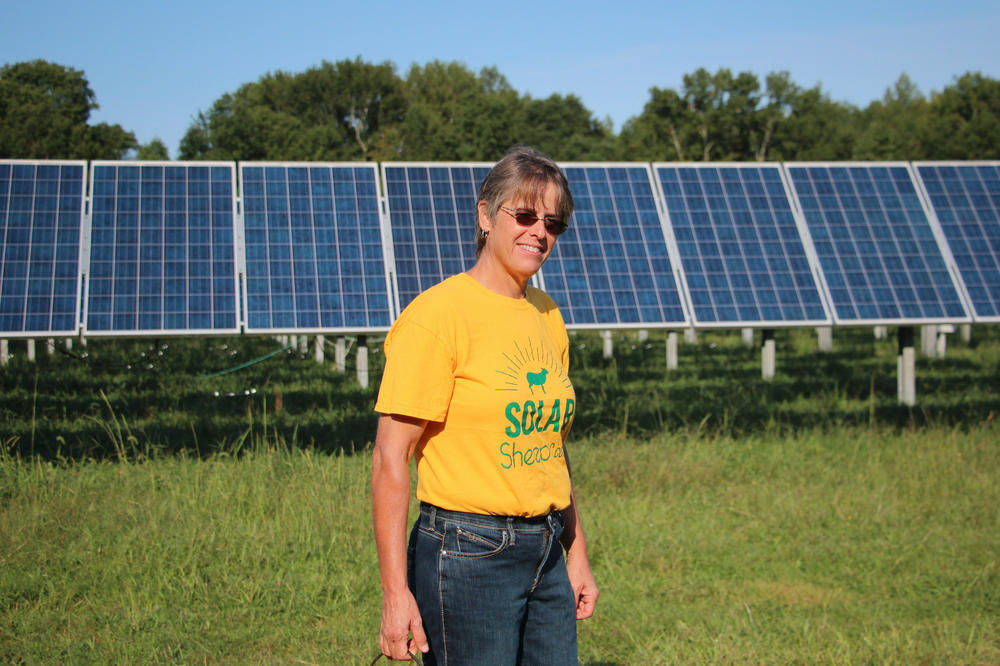 I recently saw an article about how this solar farm is going to take away food for people,