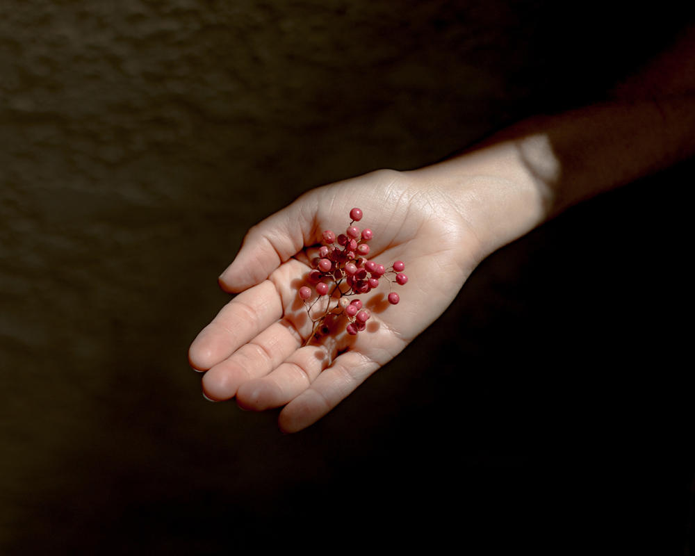 Imma displays a dying pepper tree branch she collected on May 14 on a walk with her son. Moscovitch says the family used to have a pepper tree at their old house — the house that his Grandma last visited. 