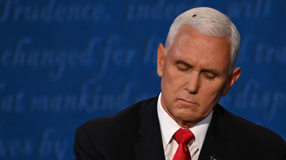A fly lands on Vice President Pence's head during the debate.