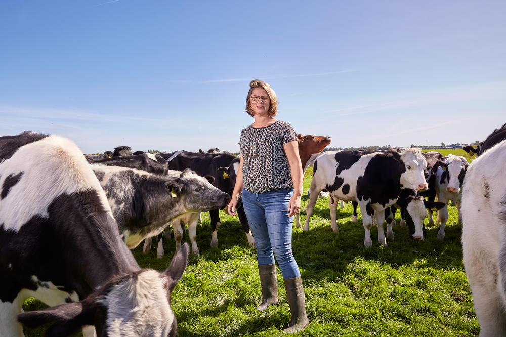 Nienke Pastoor on the 336-acre dairy farm she runs with her husband, Jaap, in the Netherlands.