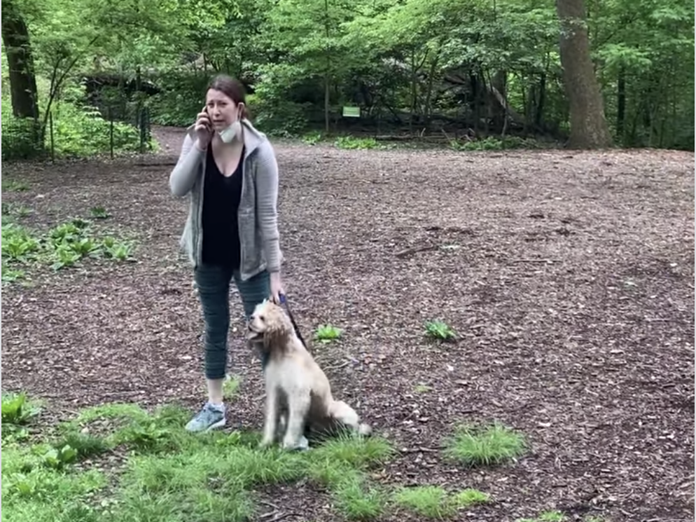 Video of Amy Cooper calling the police on a Black man went viral on social media this summer. The man says he asked Cooper to put her dog on a leash in New York's Central Park.