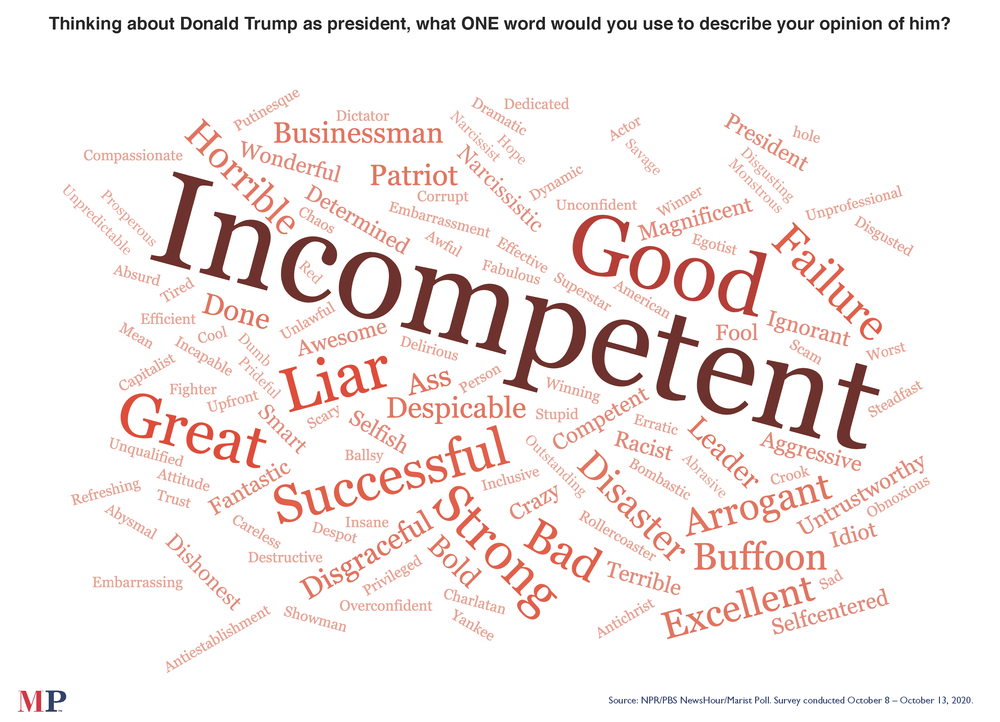 The NPR/<em>PBS NewsHour</em>/Marist poll asked what word comes to mind when thinking about President Trump. 