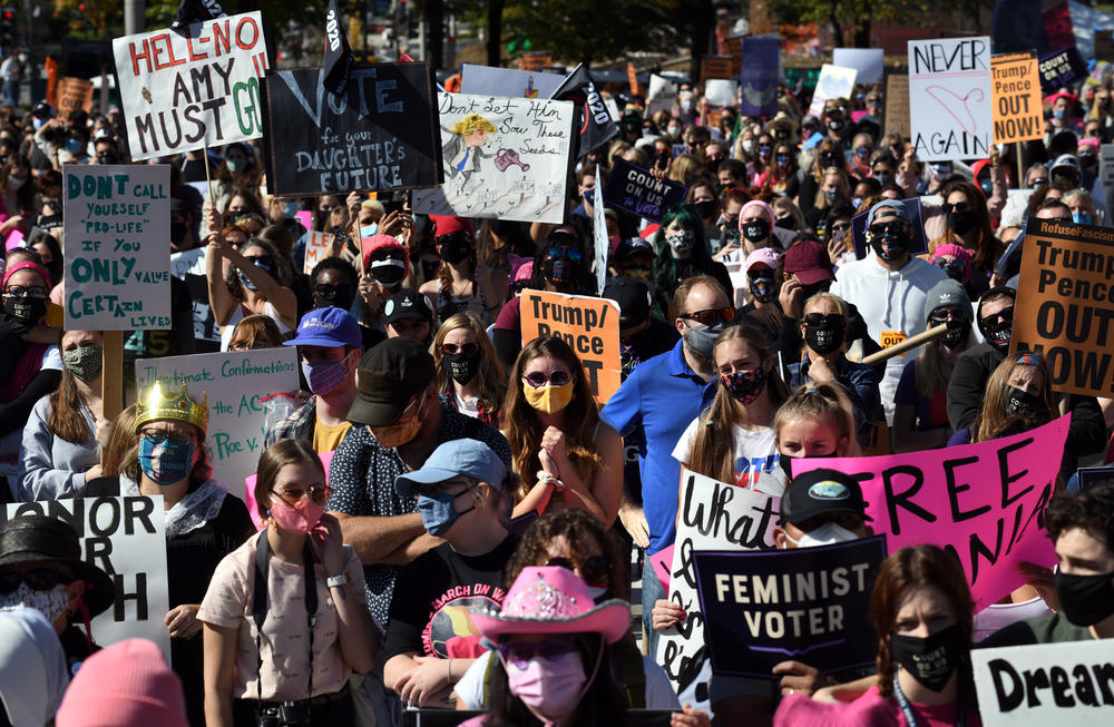 Protesters rally in Washington, D.C., during the latest Women's March.