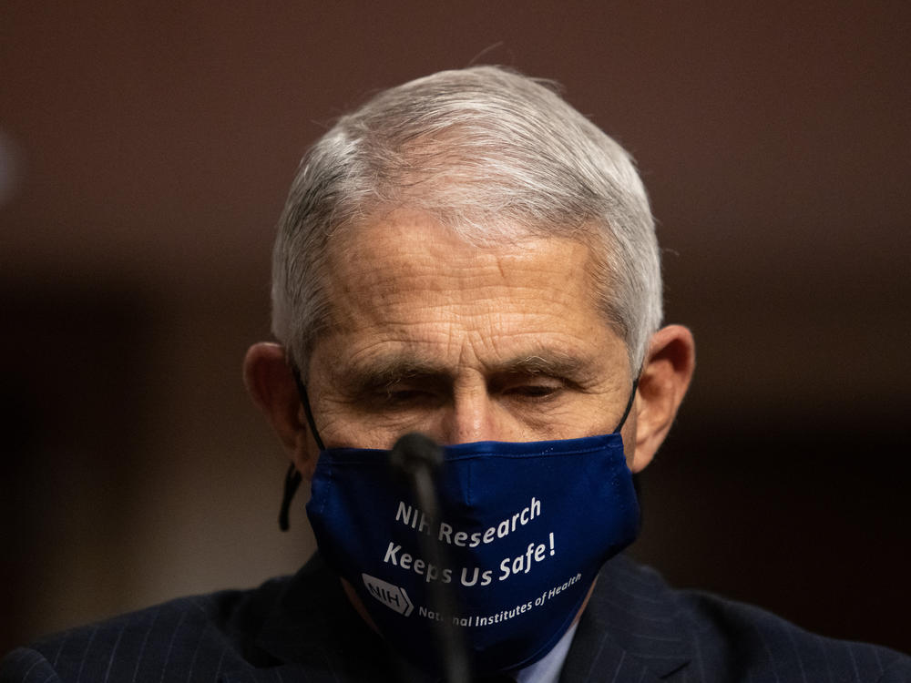 President Trump criticized Dr. Anthony Fauci, the nation's leading infectious disease expert, as a 