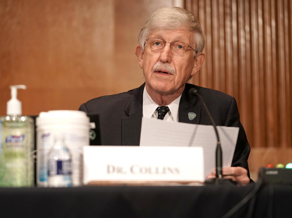 Dr. Francis Collins, director of the National Institutes of Health, is pictured on Sept. 9 on Capitol Hill. Collins says a vaccine would not be approved for emergency use before late November at the earliest.