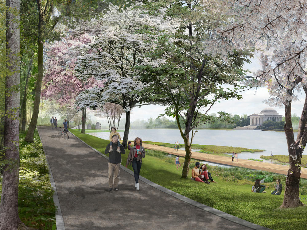 GGN imagines a plan in which the Tidal Basin would be monitored and adjustments — like, perhaps, a walkway over marshy waters — made over the rest of this century.