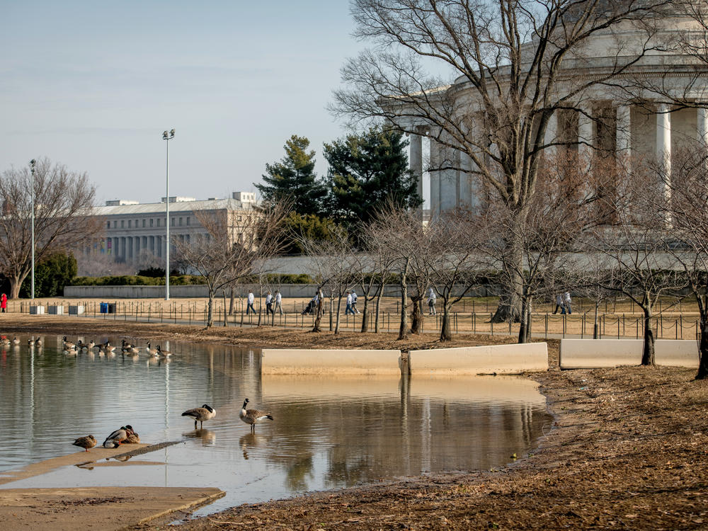 Increased car and foot traffic coupled with rising sea levels have driven parts of the Tidal Basin area underwater.