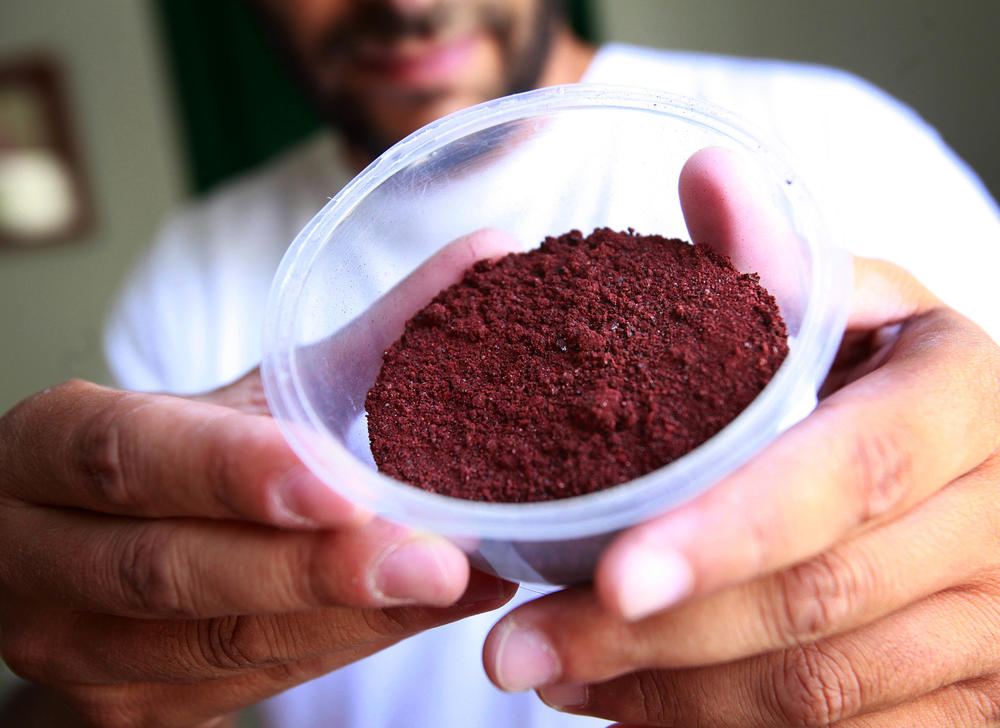 The deep red color carmine is derived from an acid that cochineal insects produce to fend off predators.
