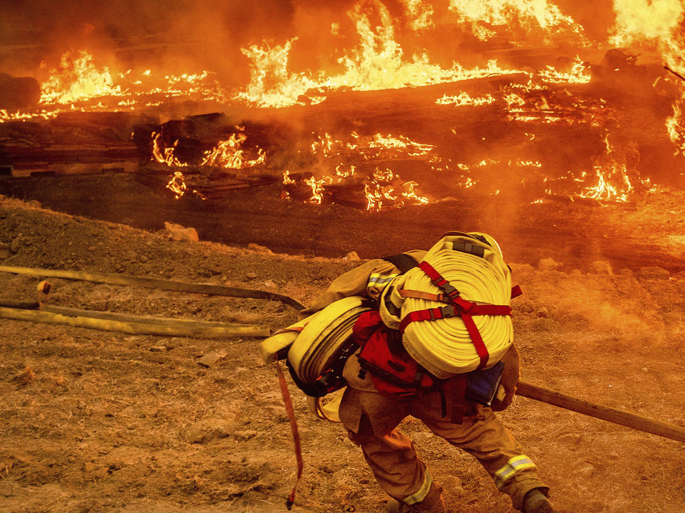 A firefighter carries a hose while battling the Glass Fire in a Calistoga, Calif., vineyard, Oct. 1