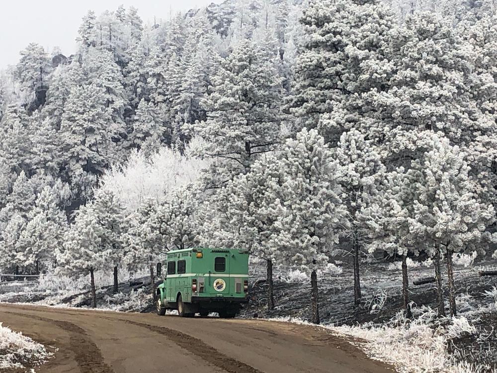 Light snow dusts the trees near the Cameron Peak Fire in Rocky Mountain National Park in Colorado on Friday.