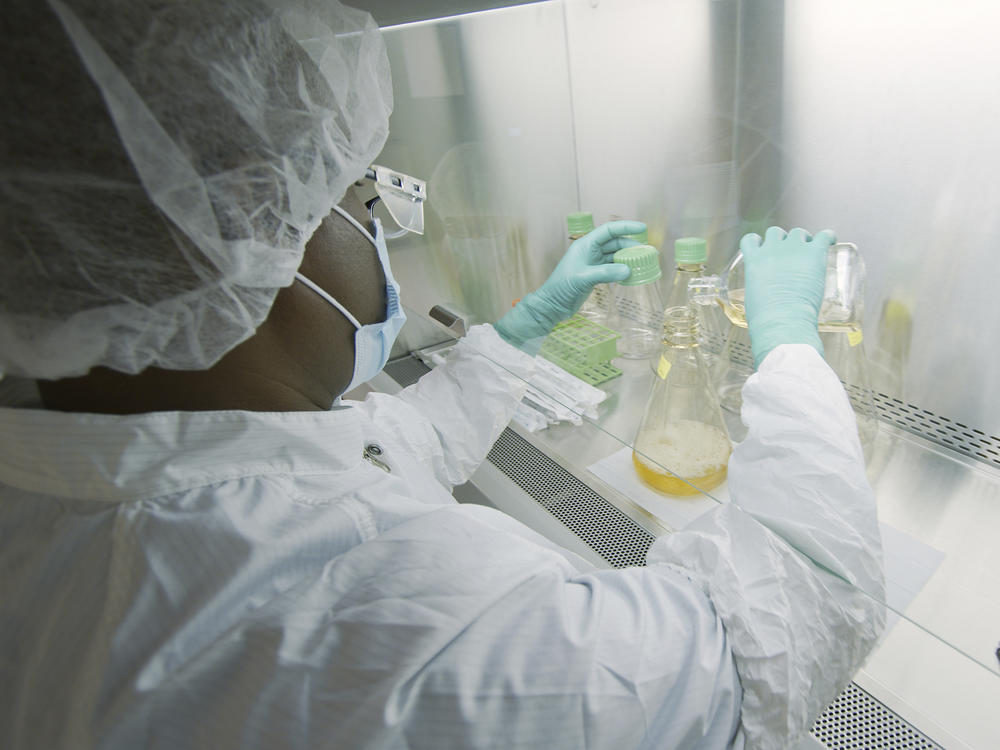 In this photo provided by Eli Lilly, a researcher tests possible COVID-19 antibodies in a laboratory in Indianapolis, Ind. On Monday, U.S. government officials announced they are putting an early end to a study testing an Eli Lilly antibody drug for people hospitalized with COVID-19 because it is unlikely to help.