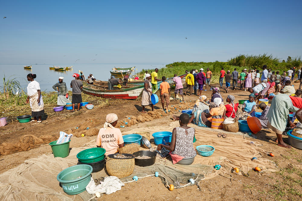When fishing boats would land at Nduru Beach, there was a bustle of activity. This photo was taken in November 2019. The landing area of the beach is now under water because of flooding from Lake Victoria.
