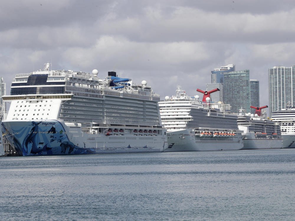 Cruise ships are docked at the Port of Miami in the spring. The Centers for Disease Control and Prevention suspended cruises from U.S. ports in March after coronavirus outbreaks on a number of ships.