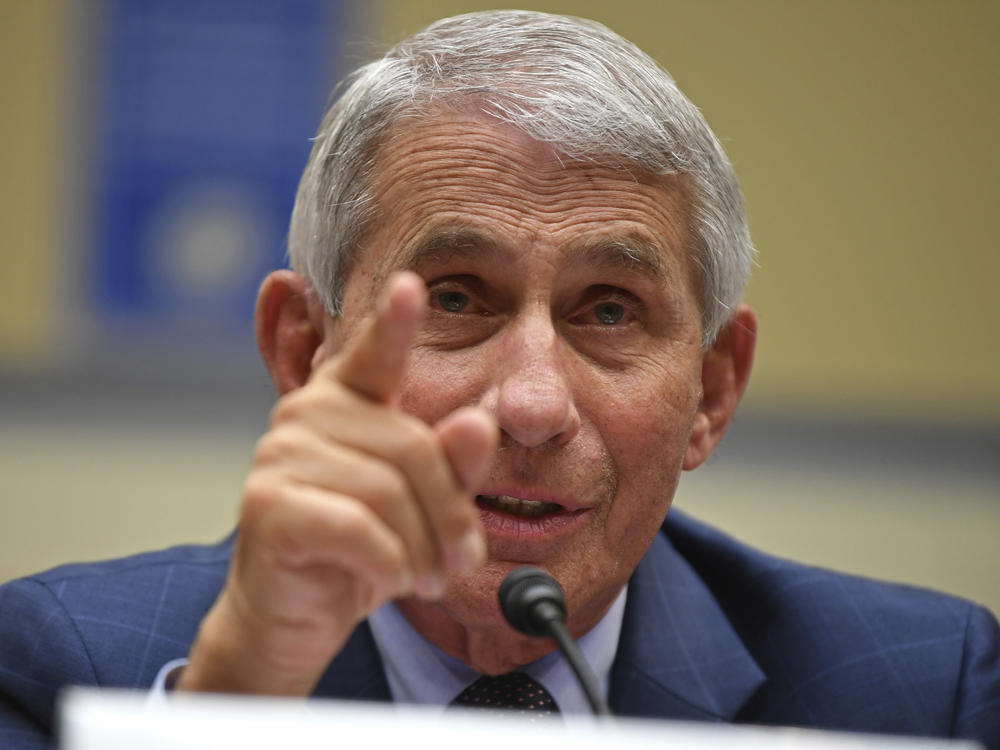Dr. Anthony Fauci, director of the National Institute for Allergy and Infectious Diseases, testifies during a House Subcommittee hearing on the coronavirus crisis in July.