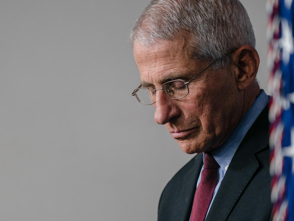 Dr. Anthony Fauci, director of the National Institute of Allergy and Infectious Diseases, listens as then-President Donald Trump answers questions in the press briefing room with members of the White House Coronavirus Task Force.