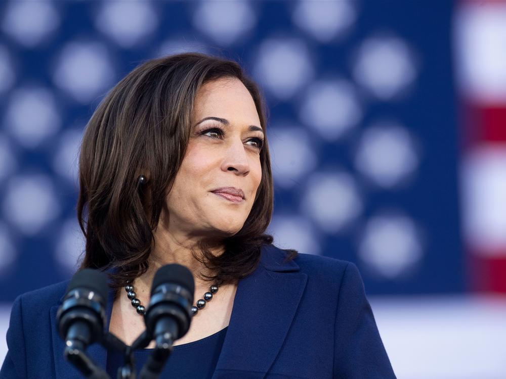 Vice President-elect Kamala Harris is the first woman, the first Black person and the first Asian American elected to the second highest office in the United States.