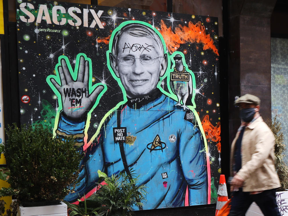 Dr. Anthony Fauci, here depicted in a mural in New York City, is 
