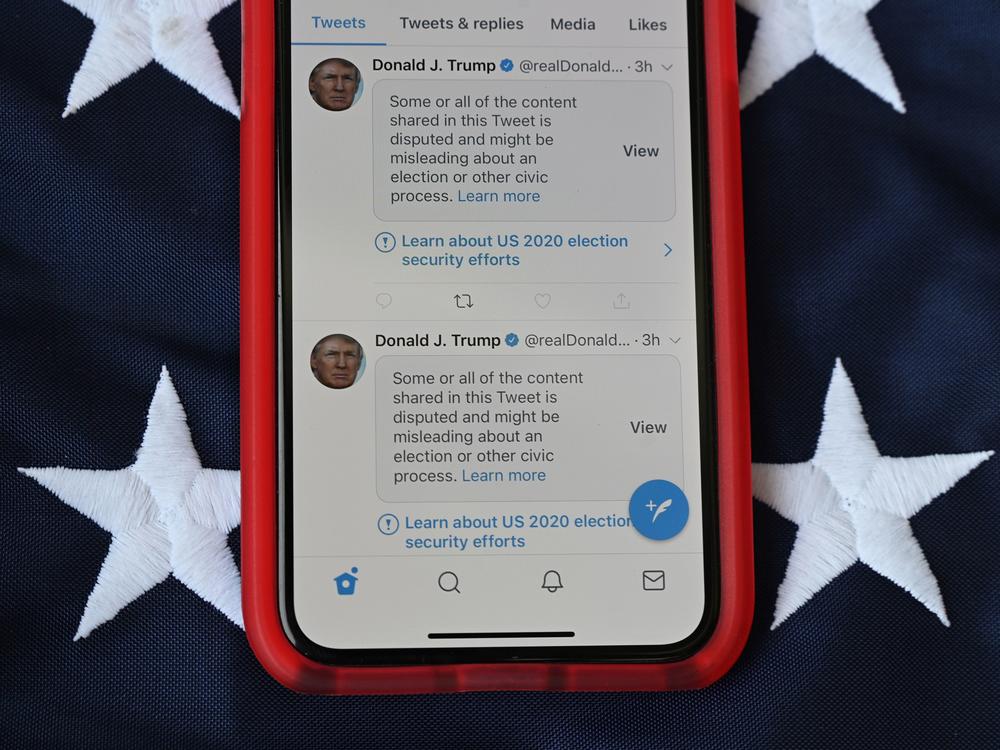 Twitter hid some tweets, including many from President Donald Trump, behind labels warning users they contained disputed or misleading information about the election.