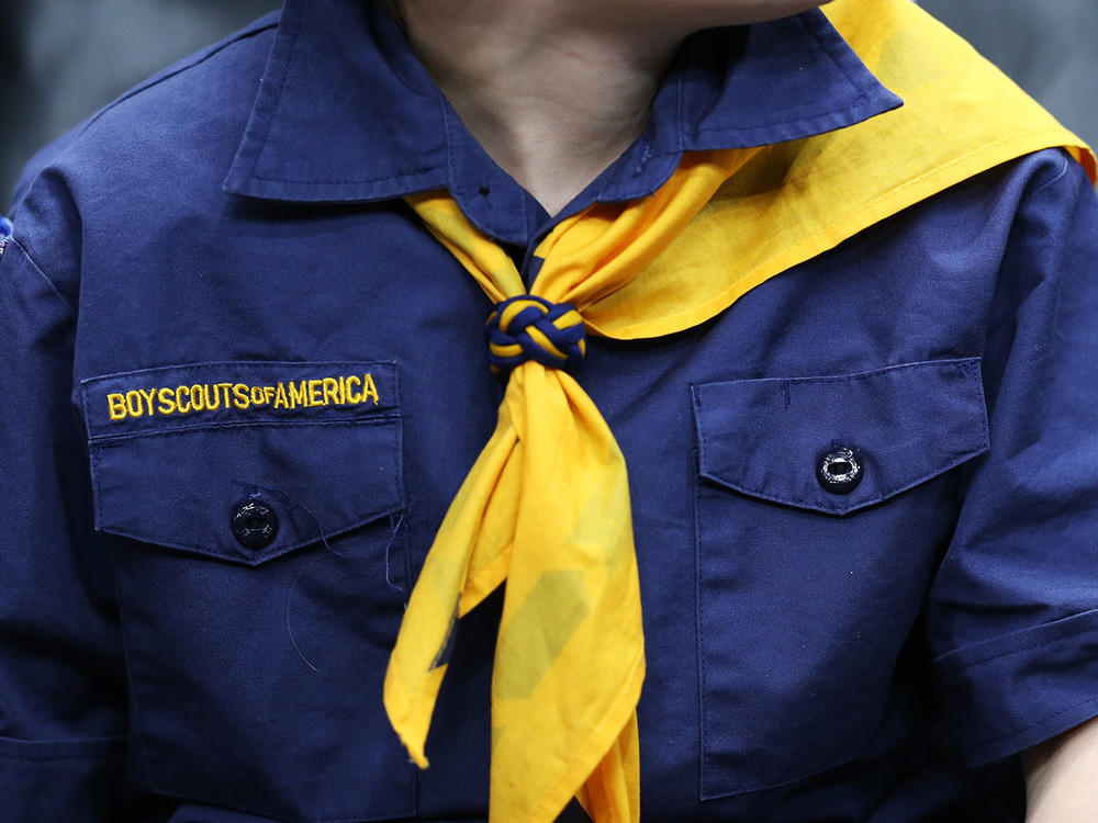 A boy scout in uniform.