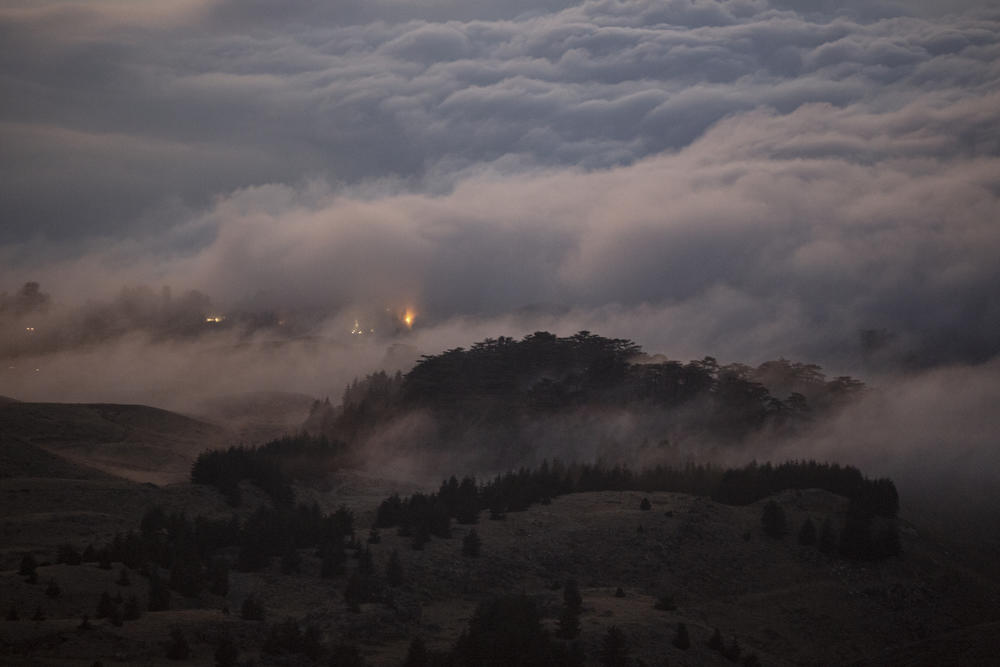 Clouds envelope the Cedars of God Reserve in Bisharre.