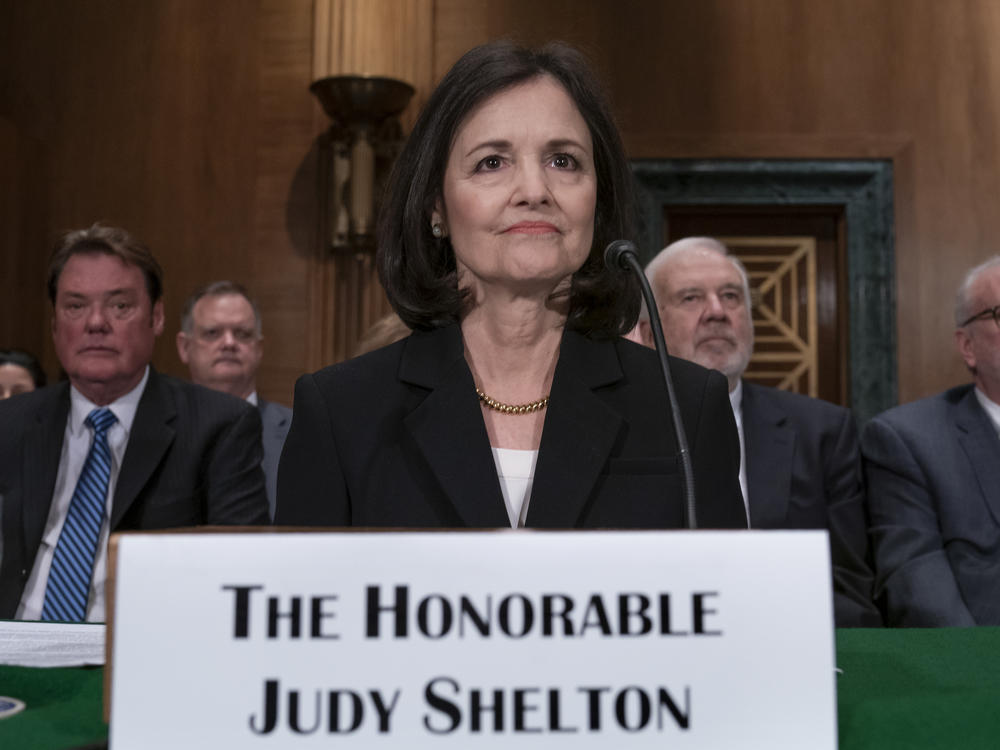 Judy Shelton appears before the Senate Banking, Housing, and Urban Affairs Committee in February. President Trump's nominee to the Federal Reserve has said she supports the gold standard and has questioned the mission of the central bank.