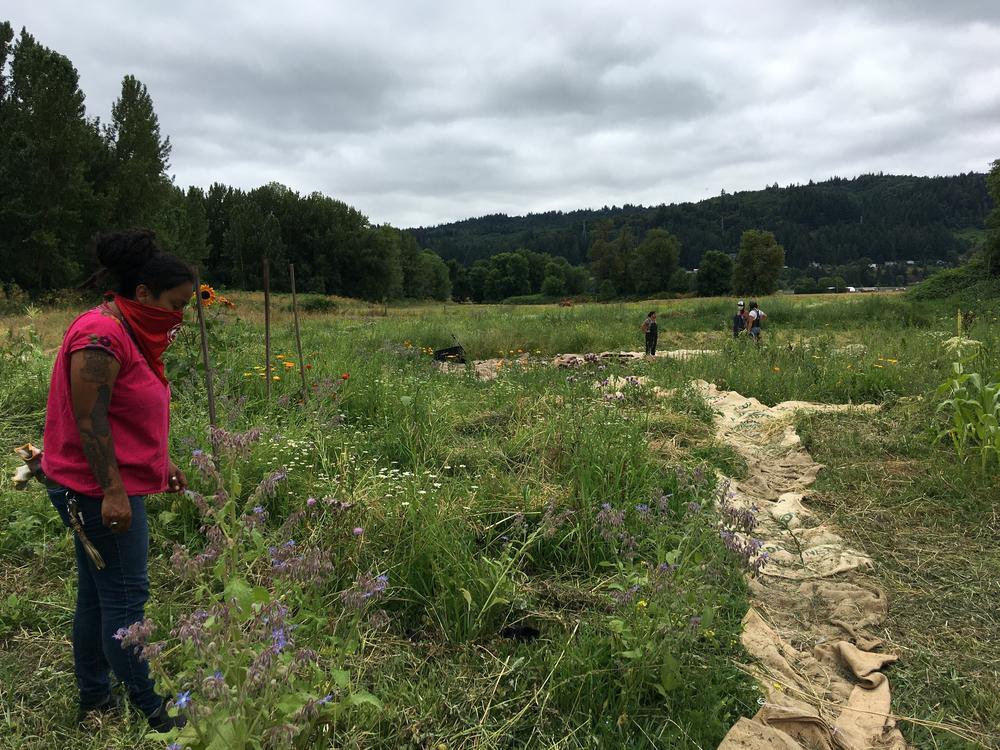 Xochitl Garnica with the Raceme Farm Collective, which wants to add a greenhouse and solar powered lighting. They hope to pay for that with a grant from the Portland Clean Energy Fund.