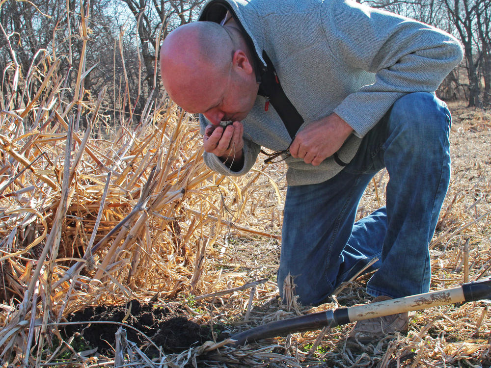 Del Ficke, a farmer in Pleasant Dale, Neb., has embraced the cause of building carbon-rich soil, capturing carbon dioxide from the air in the process.