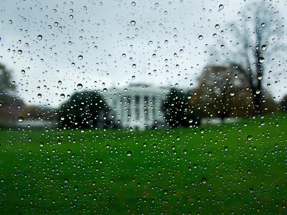 President Trump's loss to Joe Biden has made it difficult for Republicans to celebrate victories down ballot, while Democrats have been stung by the failure to meet expectations created by polling that suggested a blue tsunami.