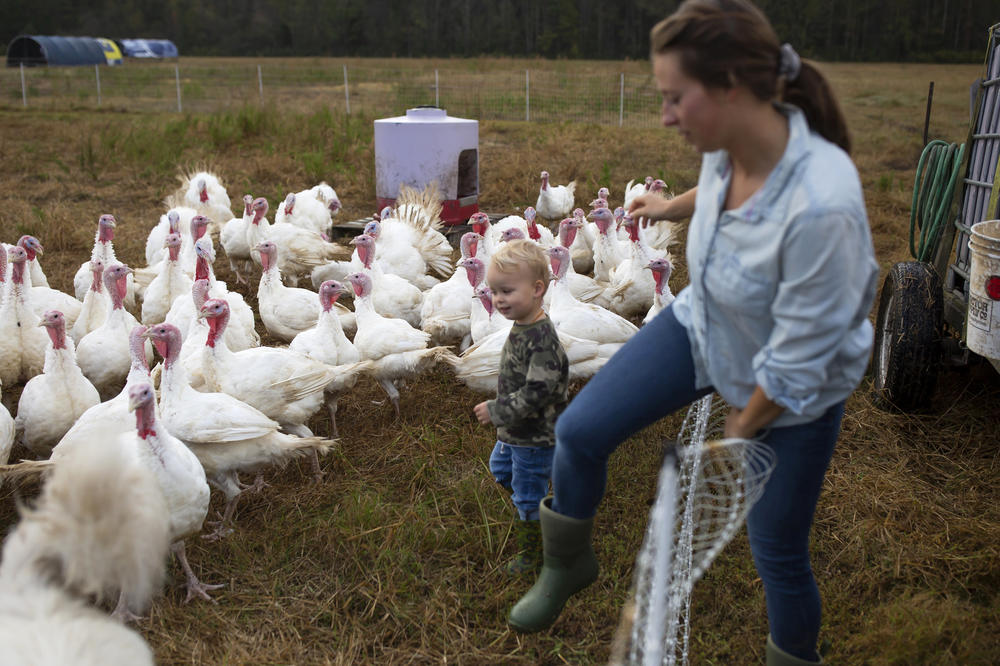 Rachel Shenk, right, and her 3-year-old son, Mason Shenk, step into the turkey enclosure on their family farm in Newport, N.C. Rachel and her husband Joe Shenk started their farm in 2017 with a desire to create a life that allowed them to focus on working together as a family. They now farm turkeys, chickens, and pigs.