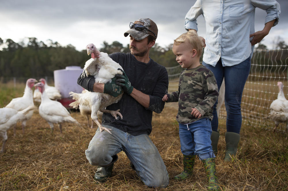 Joe Shenk holds a turkey for his son, Mason, to pet in the open-air enclosure on their farm. 